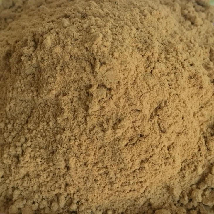 Dehydrated Ginger Powder